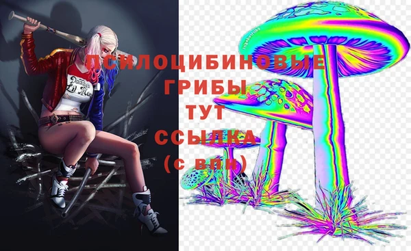 тгк Заводоуковск