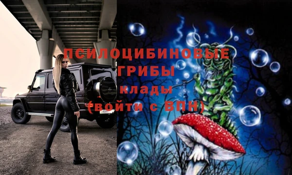 тгк Заводоуковск