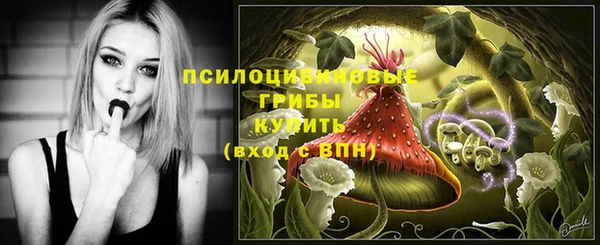 а пвп мука Зеленодольск
