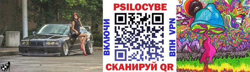 Галлюциногенные грибы мицелий  Купить где  Бабаево 